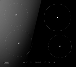 Induktionsfeld Reparatur Leinefelde-Worbis